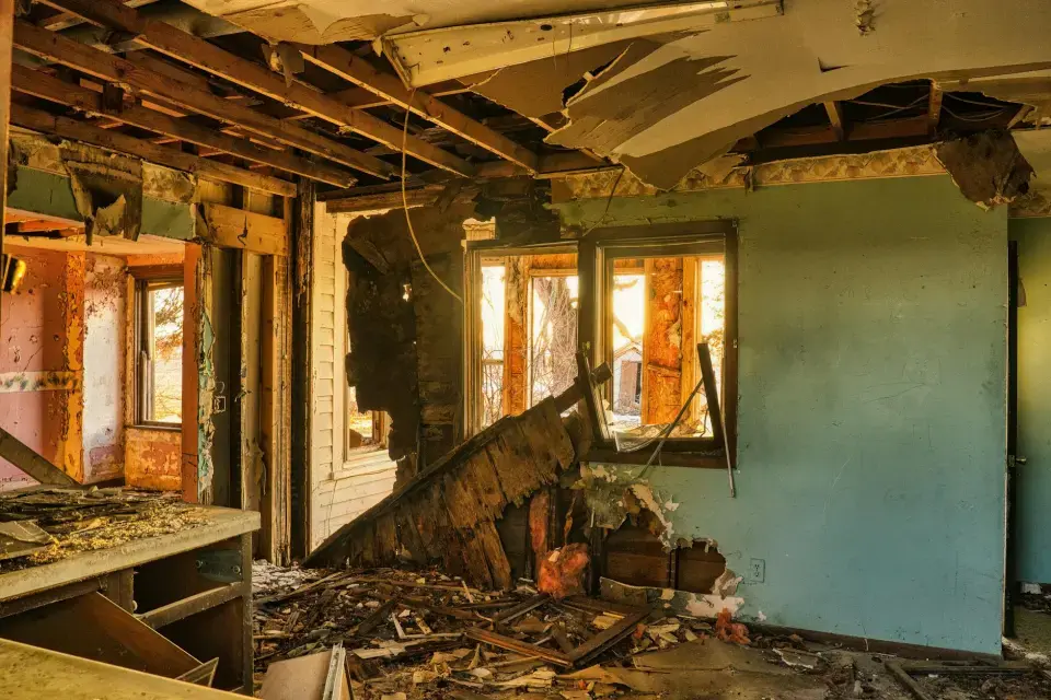 Atlanta's Leading Mold Removal Company — Atlanta, GA