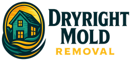 Dryright Mold Removal